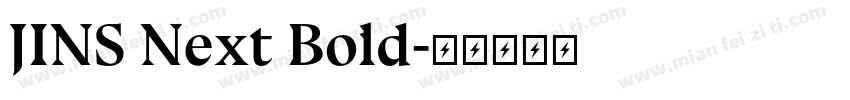 JINS Next Bold字体转换